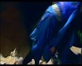 PDVD_1185