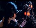 PDVD_1195
