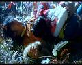 PDVD_1251