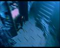 PDVD_1377