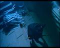 PDVD_1378