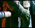 PDVD_1406