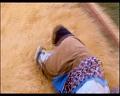 PDVD_145