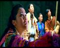 PDVD_1459