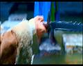 PDVD_1602