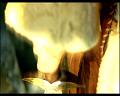 PDVD_1643