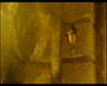 PDVD_1646