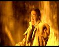 PDVD_1687