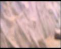 PDVD_1696