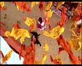 PDVD_186