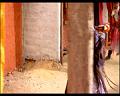 PDVD_200