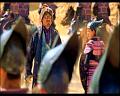 PDVD_2054