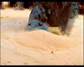 PDVD_2068