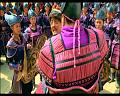 PDVD_2086