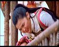 PDVD_211