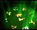 PDVD_2128