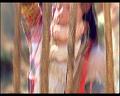 PDVD_216