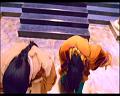 PDVD_2198
