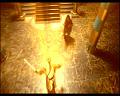 PDVD_2239