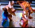 PDVD_2265