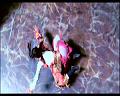 PDVD_2328