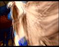 PDVD_2351