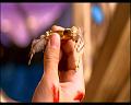 PDVD_2389