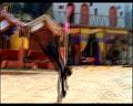 PDVD_239