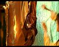 PDVD_2455