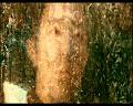 PDVD_2471