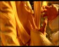 PDVD_2490