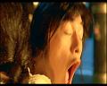PDVD_2492