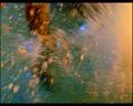 PDVD_2533