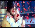 PDVD_2648