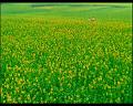 PDVD_2698