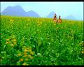 PDVD_2699