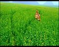 PDVD_2701