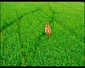 PDVD_2703
