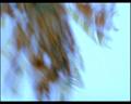 PDVD_2706