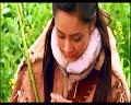 PDVD_2709