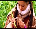 PDVD_2710