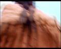 PDVD_2711