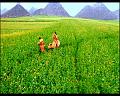 PDVD_2724