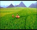 PDVD_2726