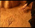 PDVD_408