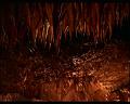 PDVD_421