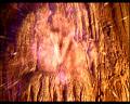 PDVD_424