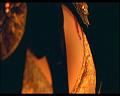 PDVD_429