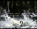 PDVD_455