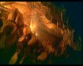 PDVD_473